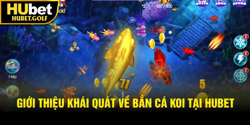Giới thiệu khái quát về bắn cá koi tại Hubet